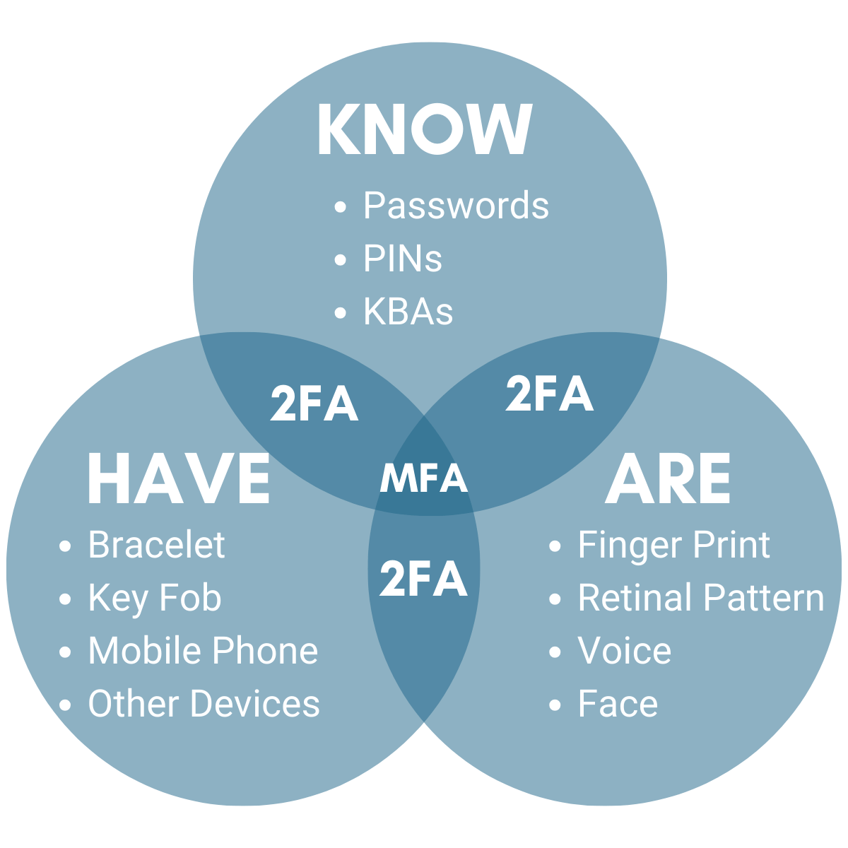 What is MFA? Technologist Technolo Gist